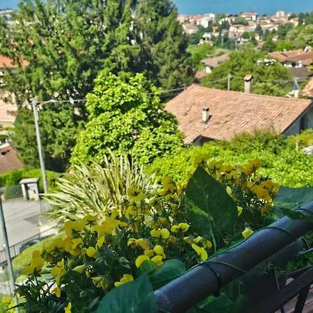 Apartment Luna Serena