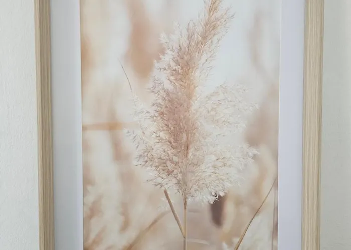 Luna Serena לואינו